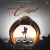 Pavvy Virk - Care - Single